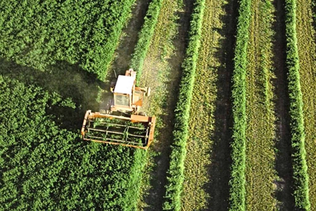 Máster en Agrotech Máster en Agrotech